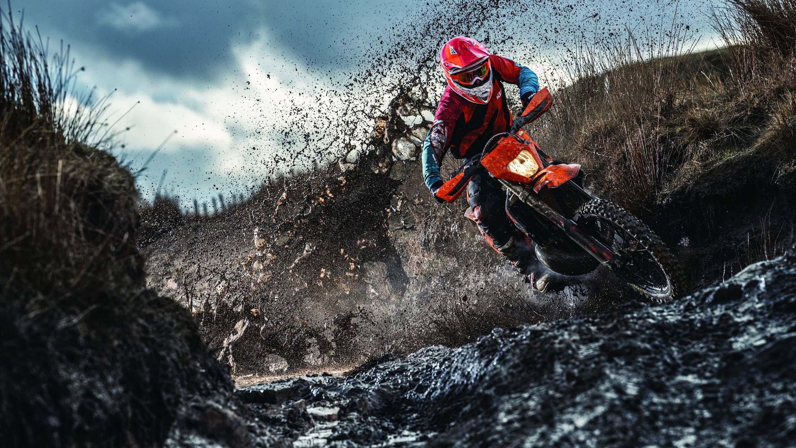 世界赛场：非洲代表的“黑马”奇迹