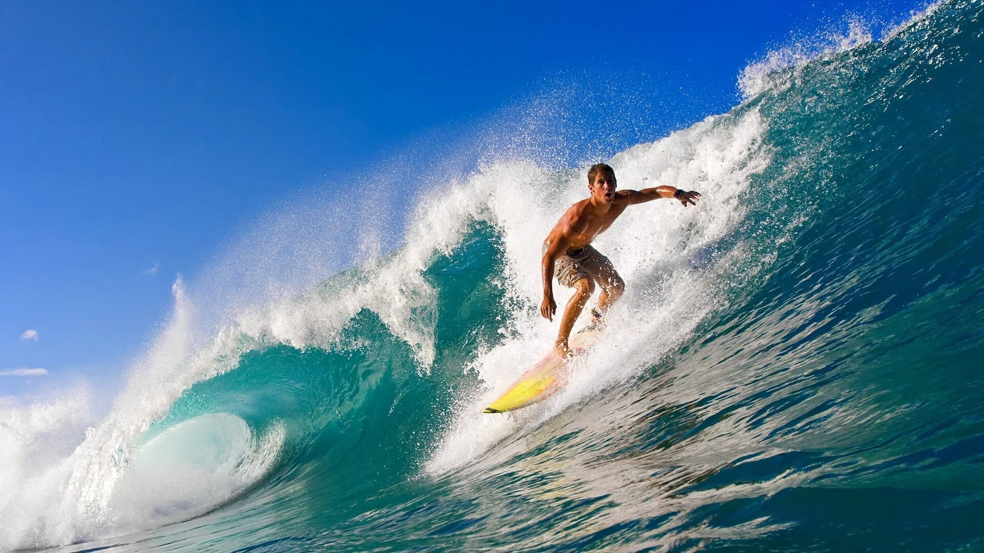 上海马拉松数万人开跑，上海马拉松赛开跑