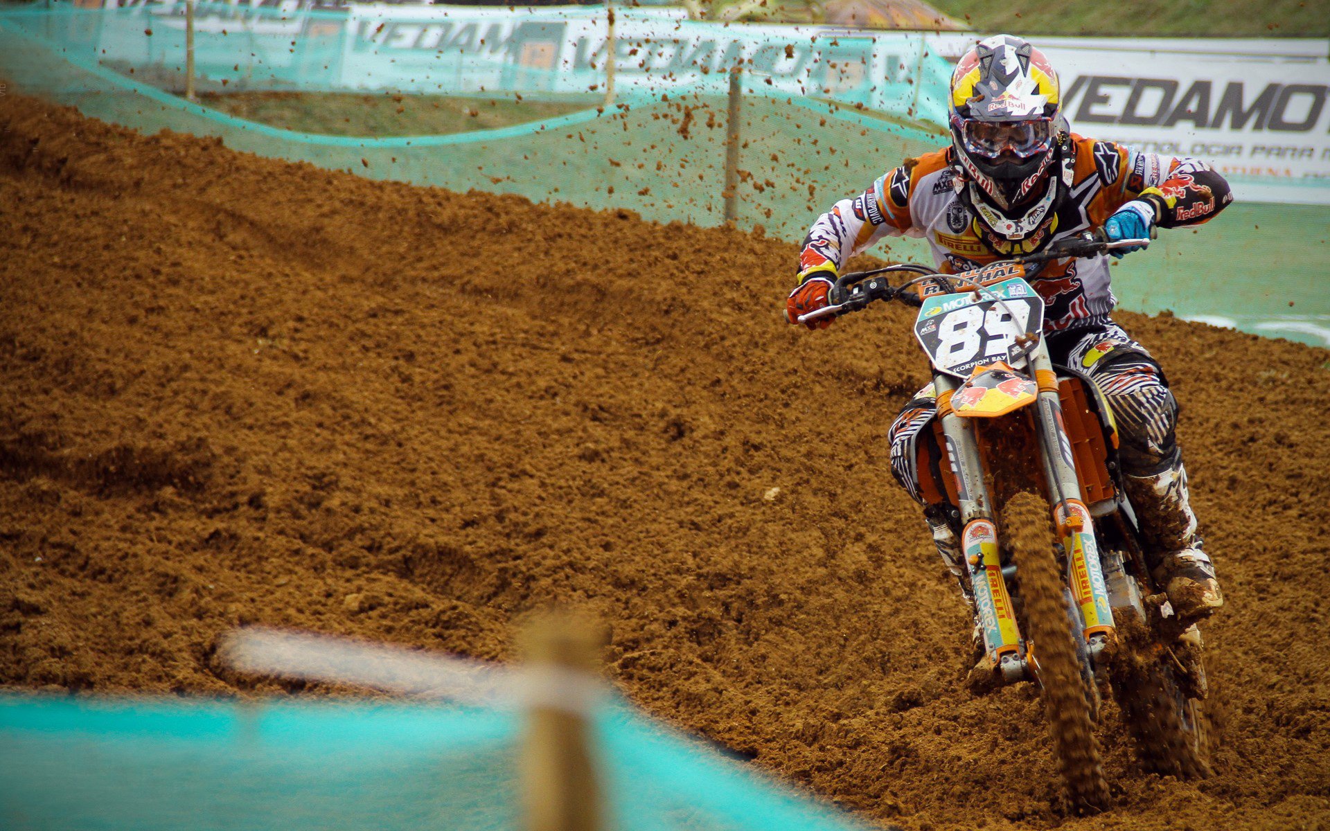 上海马拉松数万人开跑，上海马拉松赛开跑